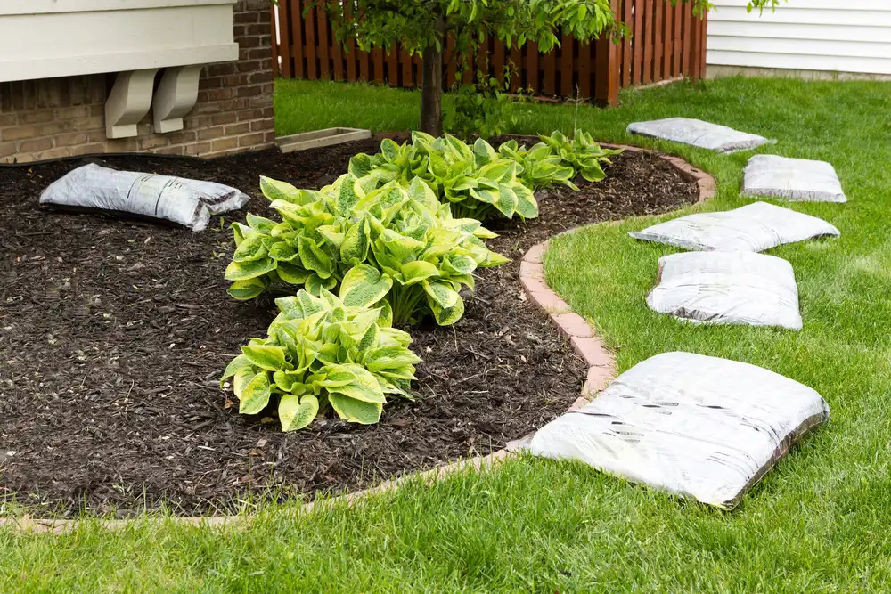 bed with new plants and mulch
