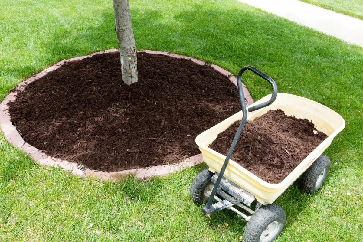 fresh mulch added