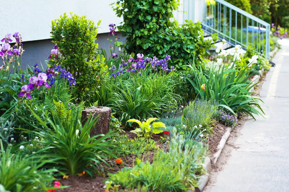 landscaping flowers