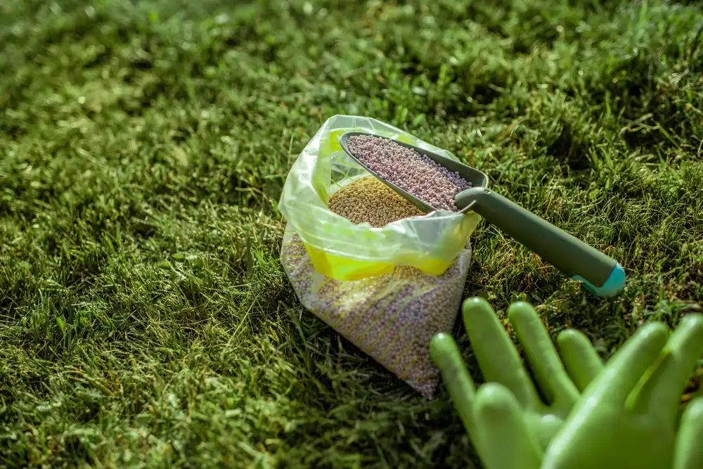 lawn fertilizer application