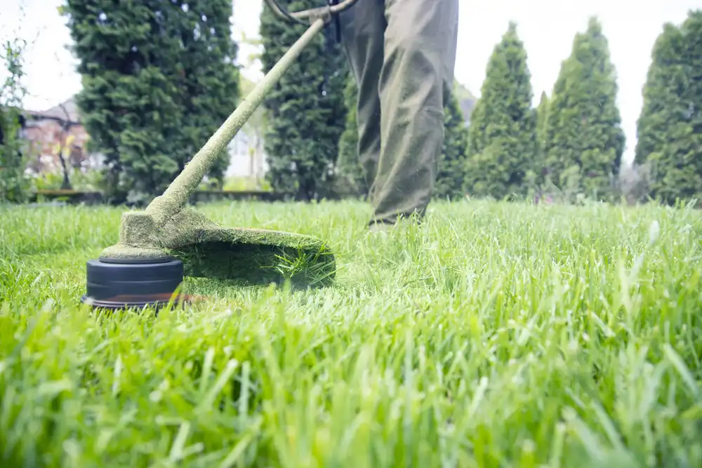 weed eater trim