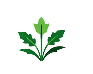 weeding-icon
