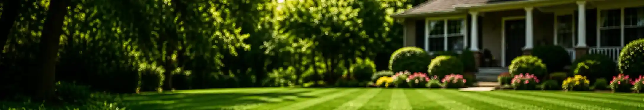 corpus christi lawn care