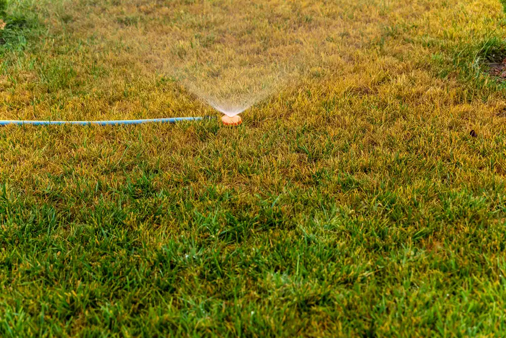 lawn sprinkler spray water